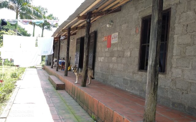 Whisper Nature Bungalow