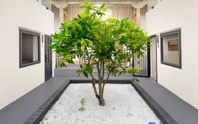 Dongshan Taoqi Seaside B&B