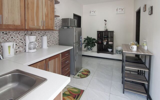 876 JA Oasis by Kingston Airport