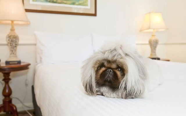 The Hughenden Boutique Hotel