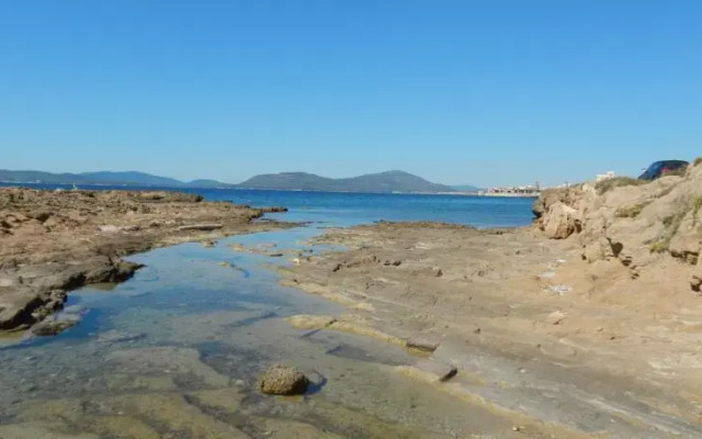 C Apartments Alghero