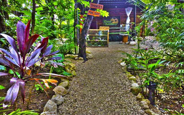 Green Sanctuary