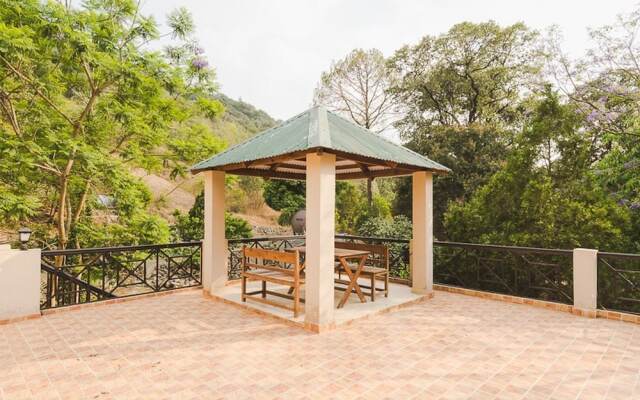 The Camphor Tree - Pura Stays