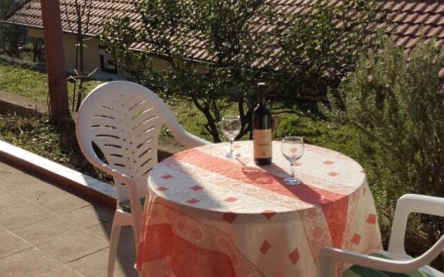 Apartments Lazarevic