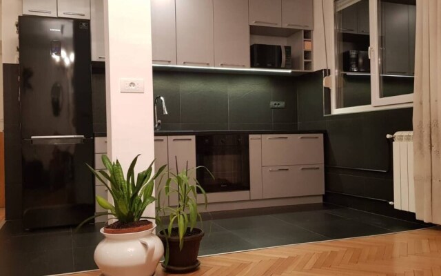 Stylish Apartment in Dorcol