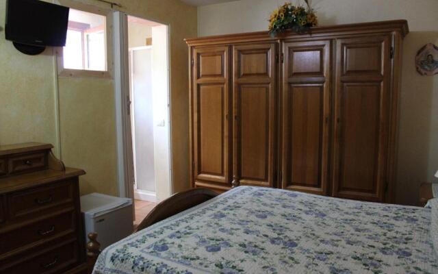 B&B Chorisia