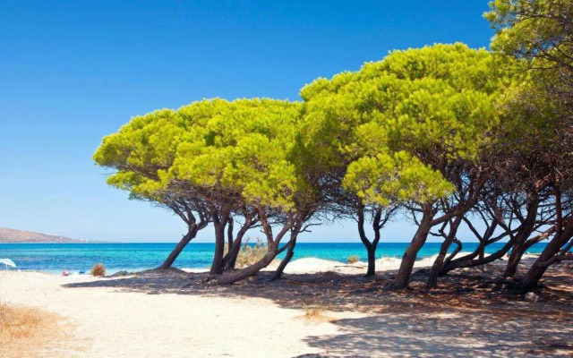 Futura Club Cala Fiorita