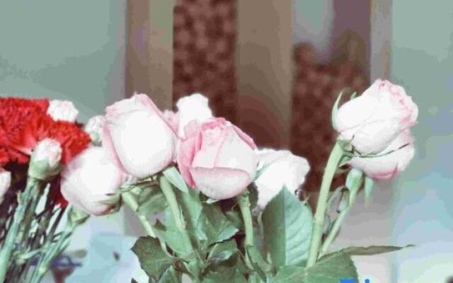 Tianye Panshan Holiday Guesthouse