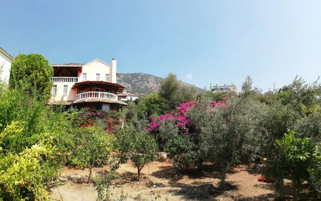 Villa Koknar Pension