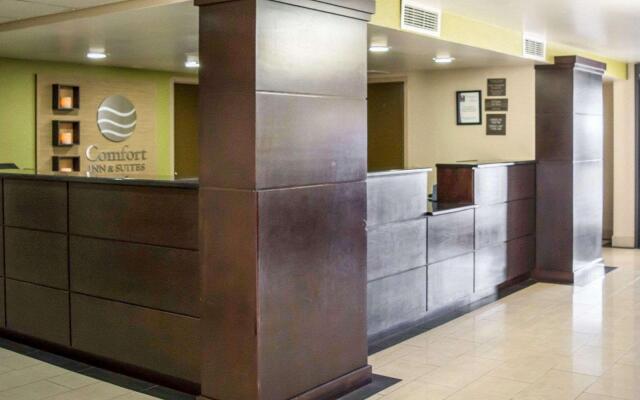 Comfort Inn & Suites St. Pete - Clearwater International Airport