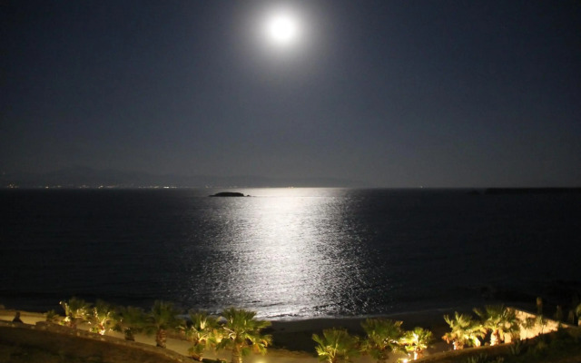 Paros Blue Dolphin