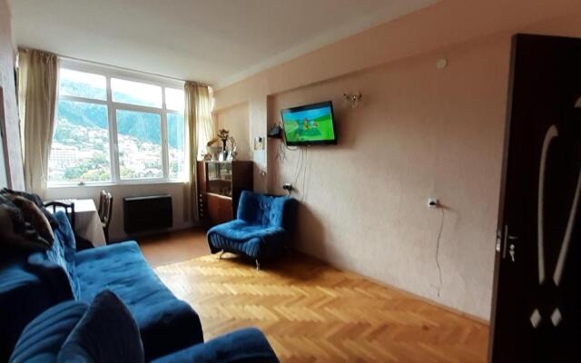Borjomi,Rustaveli Street 107, 7 Floor