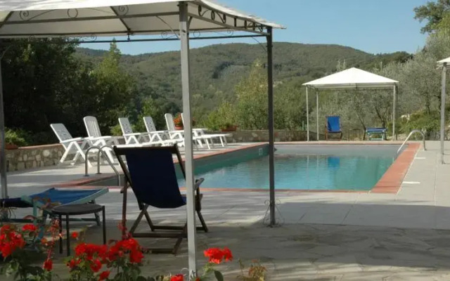 Masseto In Chianti
