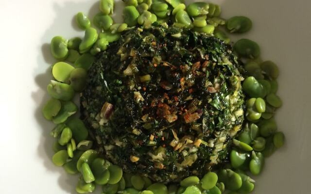 Domaine du Clos d'Alari