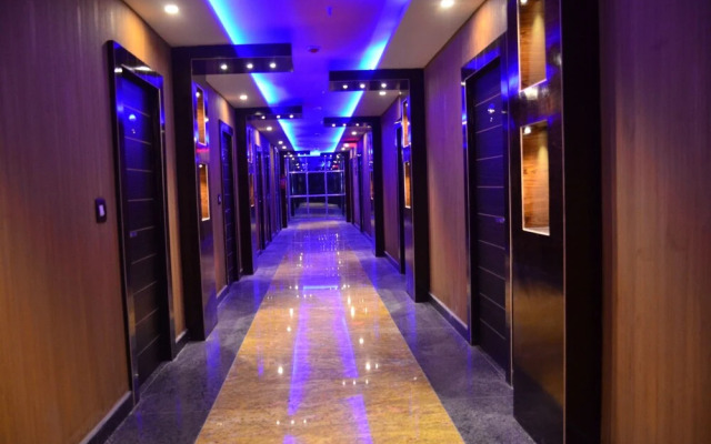 Dolphin Chocolate Inn