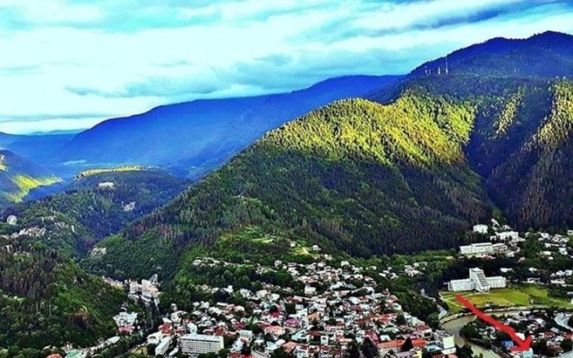 Guesthouse In The Downtown Borjomi