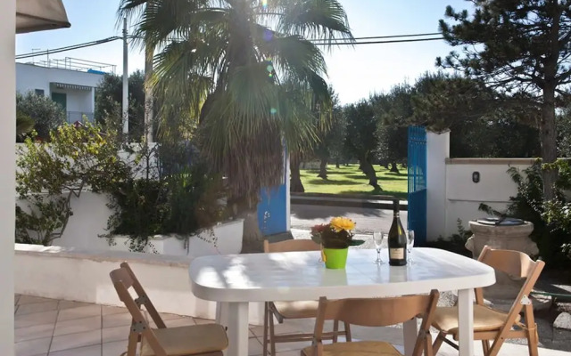 VilleSalento - Sant Isidoro M521