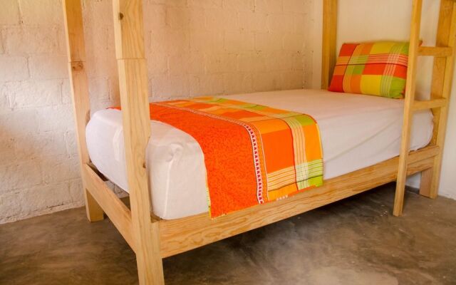 Alebrijes Surf House - Adults Only - Hostel