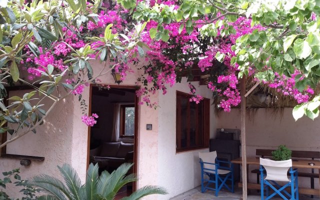 "exclusive Cottage in S. West Crete in a Quiet Olive Grove Near the Sea!"