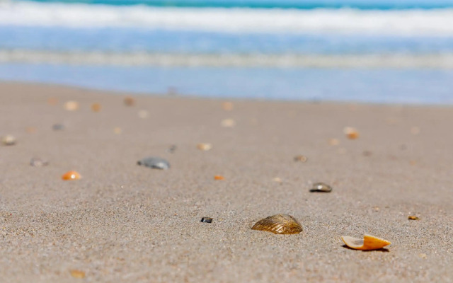 Beachside Hotel & Suites
