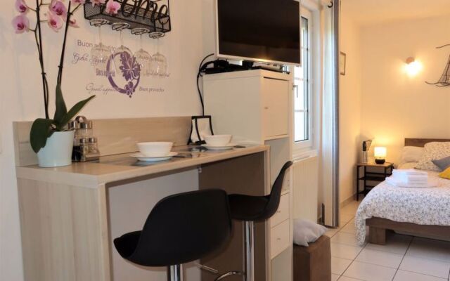 Les Hortensias 42103