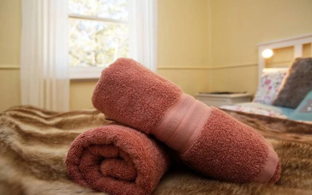 Tullys Hut - Walk to Hikes, Waterfalls, Views