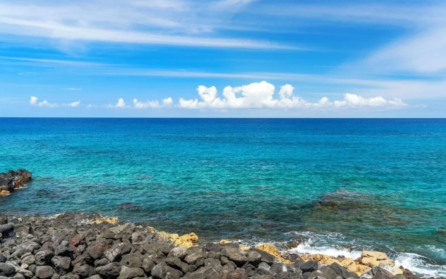 Ocean View - Pool & BBQ Area - Vrkcv