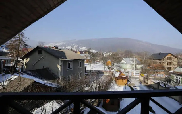 Цвит Папороти