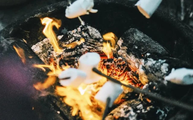 Ruschmeyers #15 - Dlx Queen