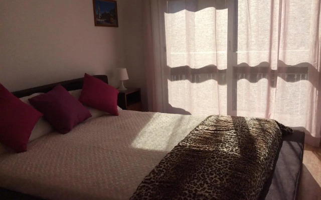 Downtown Sunny Apartment