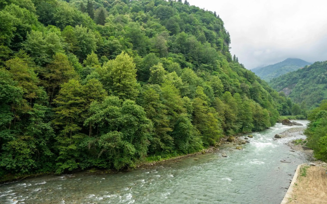 Ayder Valley Palace