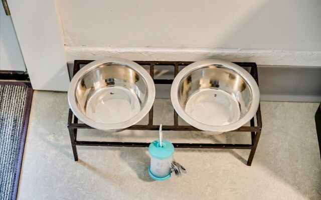 The Green Spot Studio