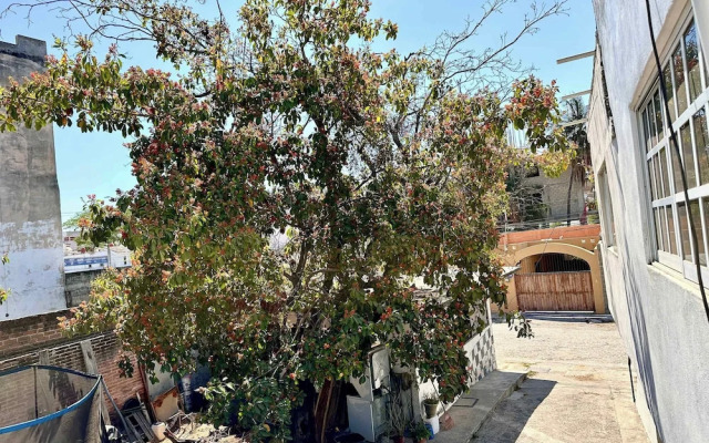 Relax in Bucerías, Steps From the Beach and More