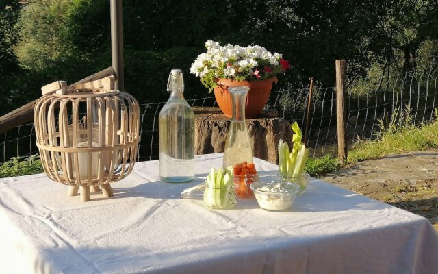 B&B Fattoria Camilla