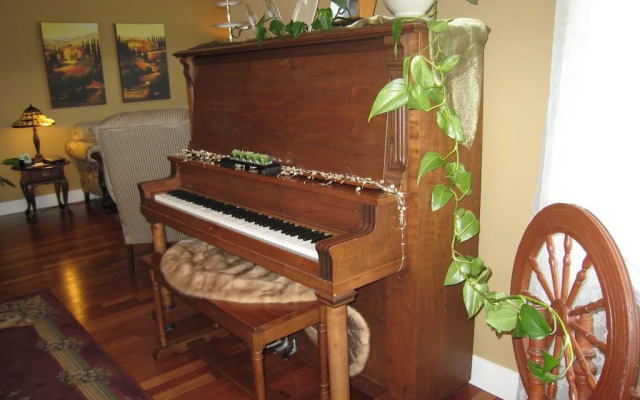 Yellow Rose Bed & Breakfast