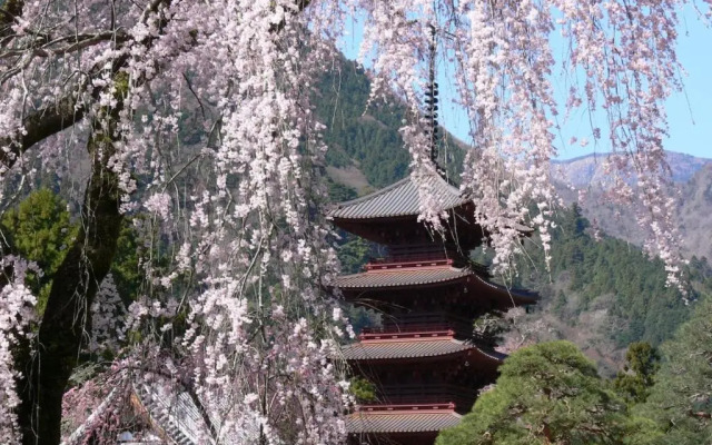 Temple Hotel Habanobo