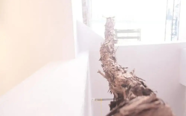 Studio Toniko