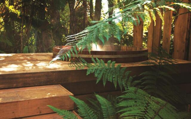 Treetops Lodge & Estate