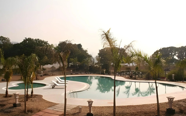 Tiger Camp
