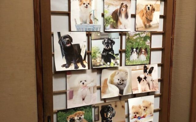 Stay with Pet Murasawa