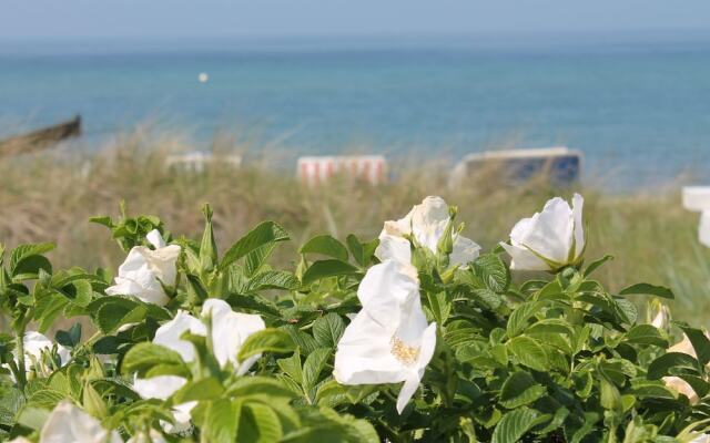 Comfortable Apartment in Mecklenburg-cispomerania Near Beach