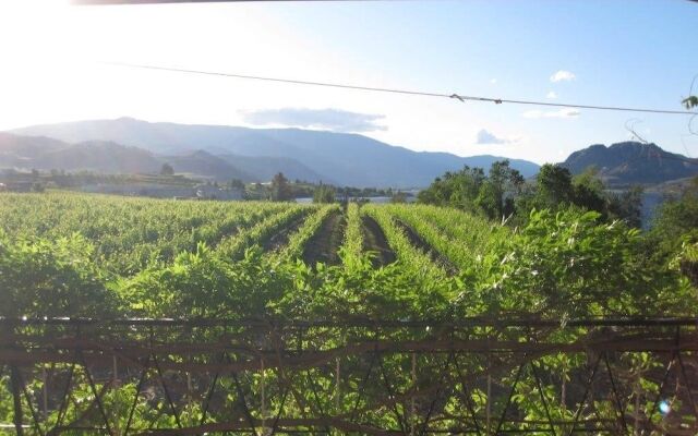 Vineyard on the Lake - 4 Bedroom Villa