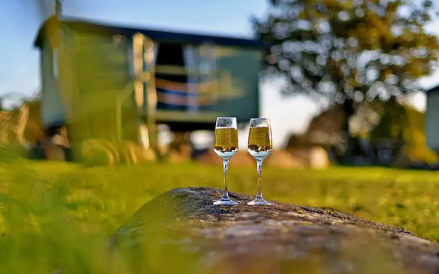 Tranquil Shepherds Hut With Stunning Views, No Deposit
