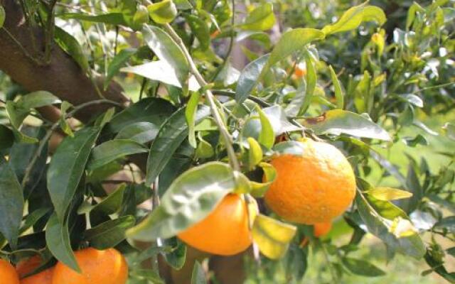 Villa Margherita Suite Breakfast