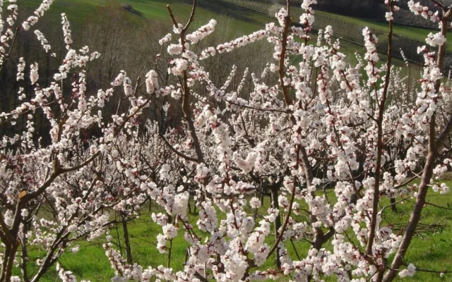 Casa dell' Abbondanza B&B Agriturismo