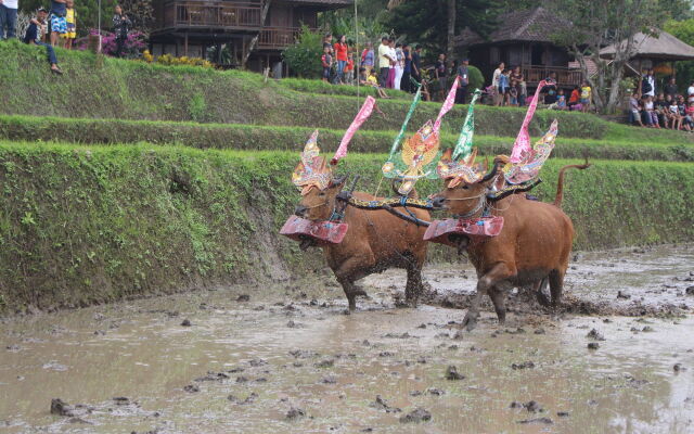 Puri Lumbung Cottages, Restaurant & Spa