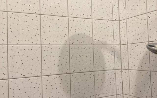 Studio standing, hyper centre, très calme