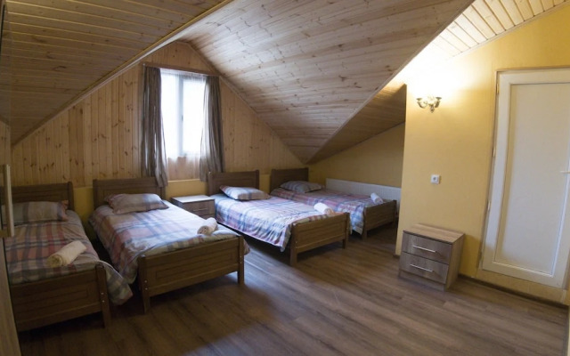 Hotel Eco House In Bakuriani