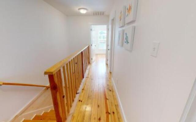 803 The Commons - Dancing Dolphin