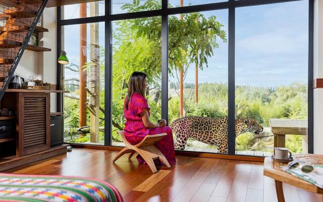 Les Lodges - Parrot World